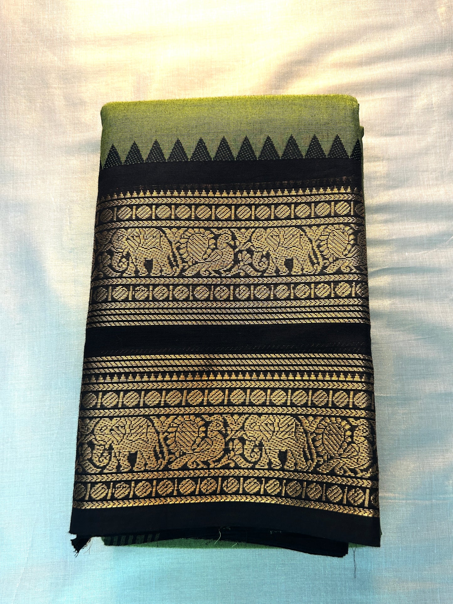 Rukmini(020526SAREVA)