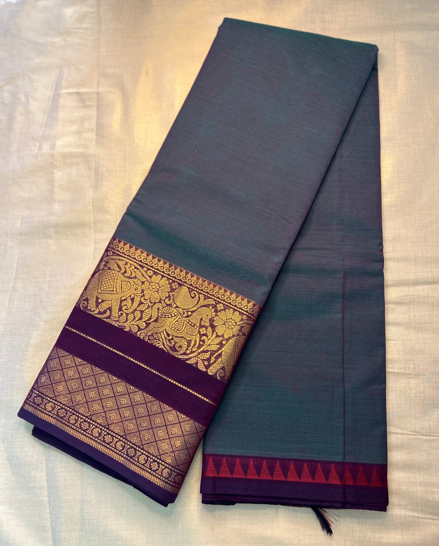 Indrani(020526SAREVA)